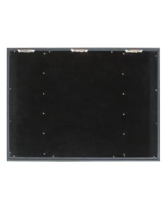 Black Display Case 50 pcs.